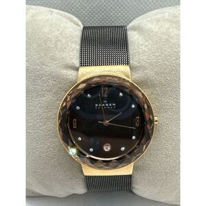 Skagen SKW2120 Women's Gray Stainless Steel Mesh Analog Dial Quartz Watch JNA882